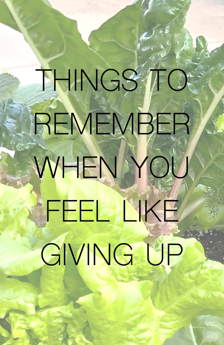 Things to Remember When You Feel Like Giving Up