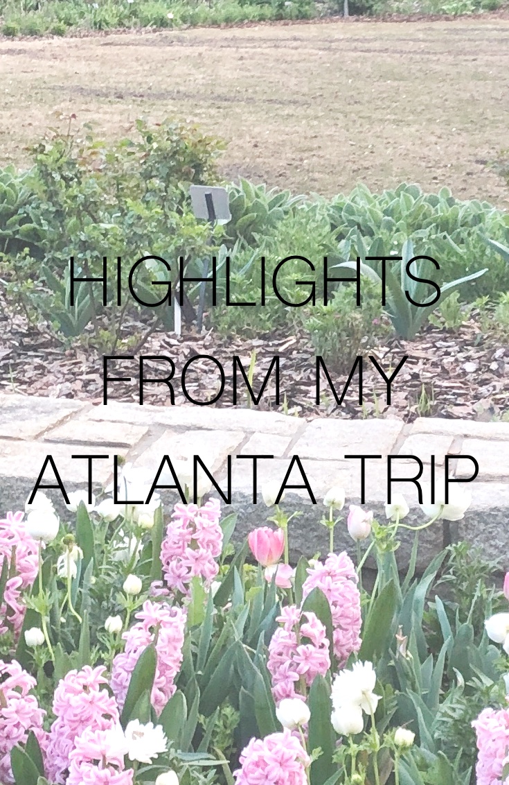 Highlights From My Atlanta Trip Part Two: Botanical Gardens And Downtown Aquarium