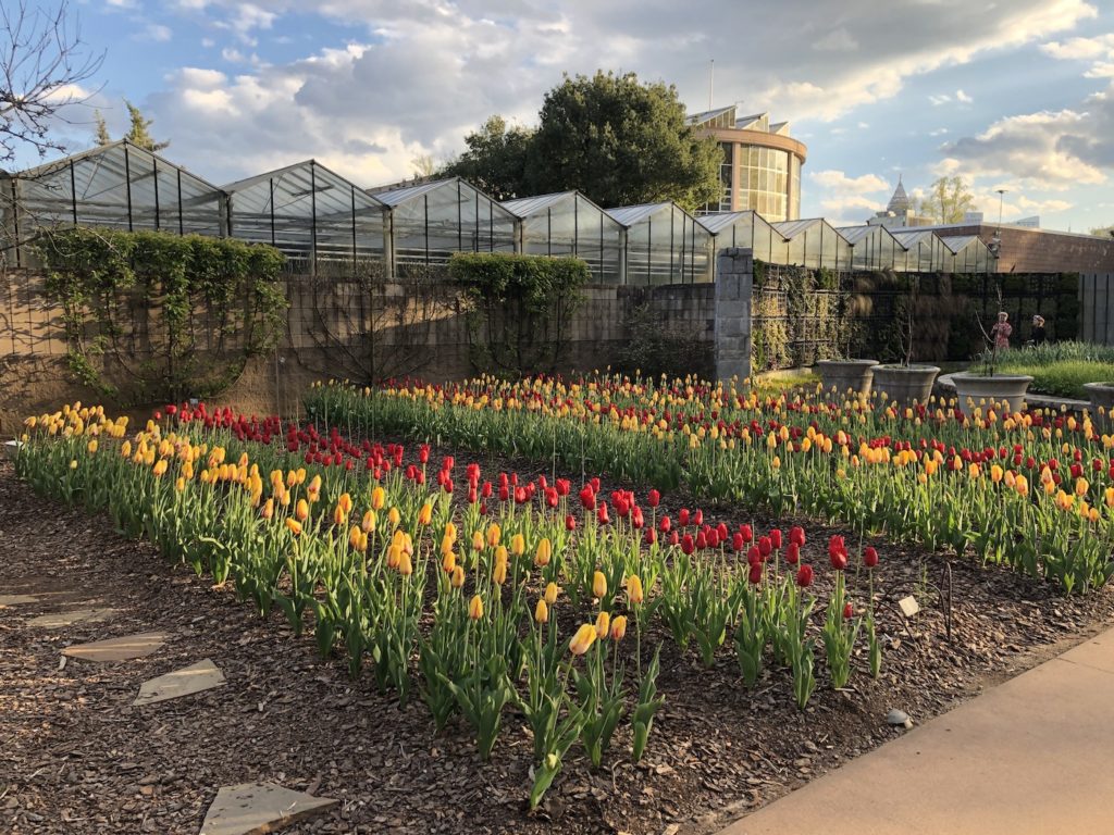 A large garden of tulips, leafy plants, and trees with indoor greenhouses in the background.