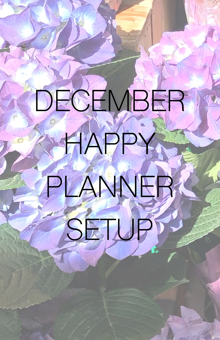 Protected: December Happy Planner Setup