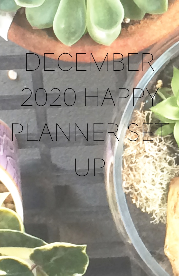 Protected: December 2020 Happy Planner Set Up