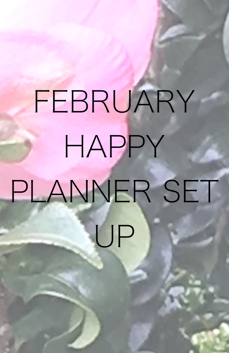 Protected: February Happy Planner Set Up