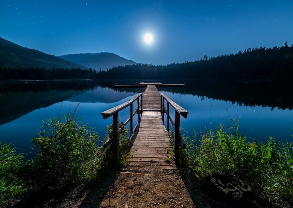 A long wooden piet leads into a deep blue, ong stretched lake. At the base of the pier is a bunch of wild flowers. There is a forest of pine trees framing the lake, with a mountain range in the backgorund. In the night sky shines the moon.