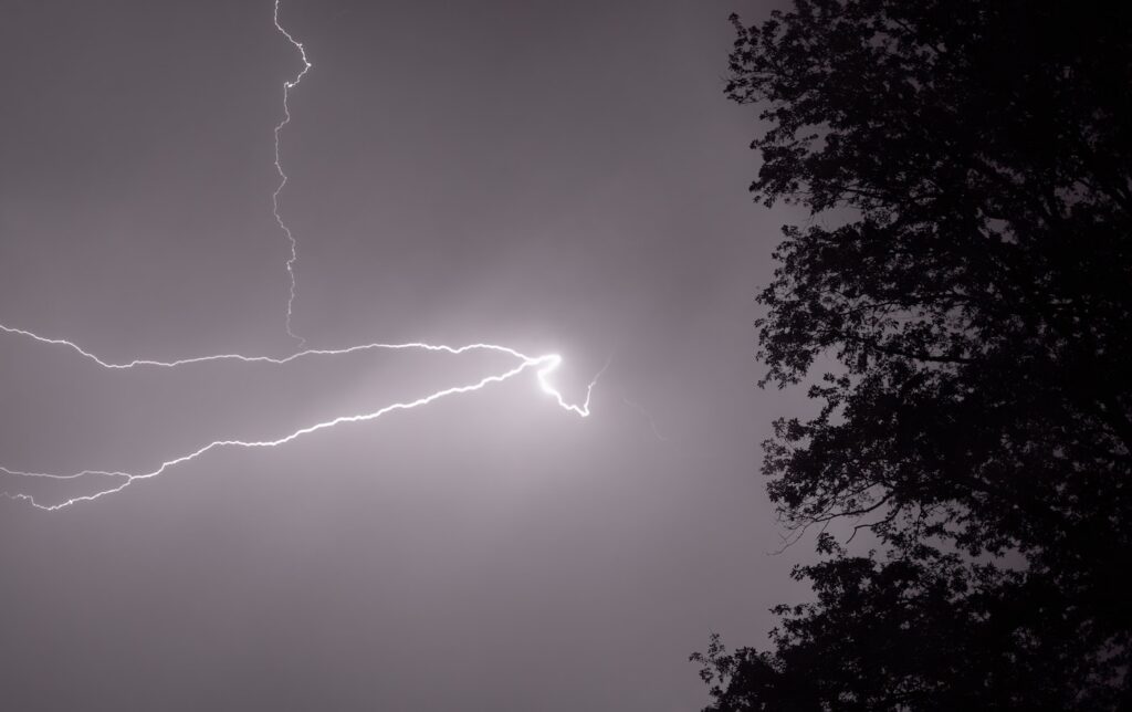 in the middle of a purple and blue sky is a bluish white lightning stike. To the right is a tall evergreen tree.