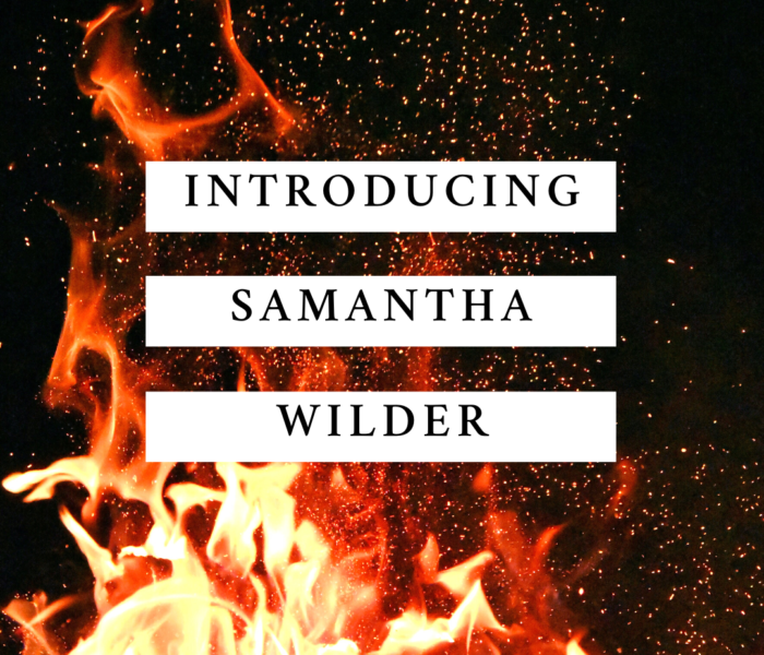 An Introduction To The Cast Of Characters In My Comic Series- Samantha Wilder