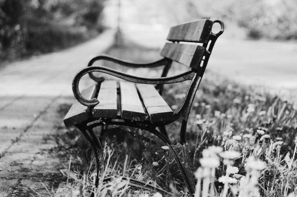 Alond a dirt road, an empty wooden bench is placed in the grass, which is full of fallen leaves.